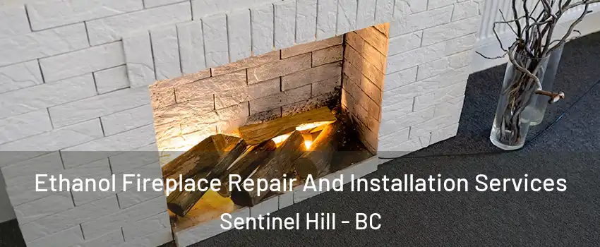 Ethanol Fireplace Repair And Installation Services Sentinel Hill - BC
