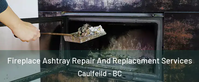  Fireplace Ashtray Repair And Replacement Services Caulfeild - BC