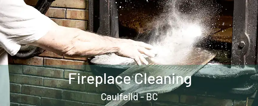  Fireplace Cleaning Caulfeild - BC