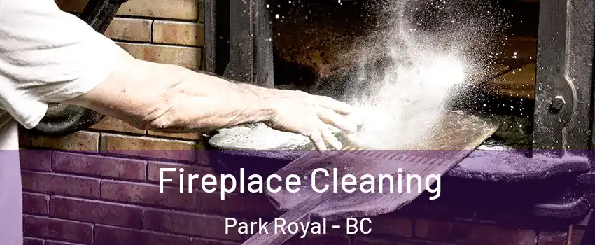  Fireplace Cleaning Park Royal - BC