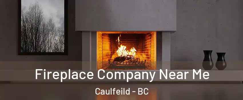  Fireplace Company Near Me Caulfeild - BC