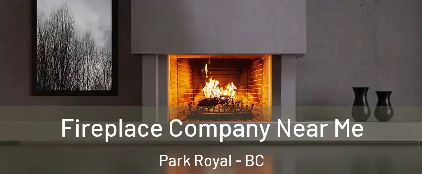  Fireplace Company Near Me Park Royal - BC