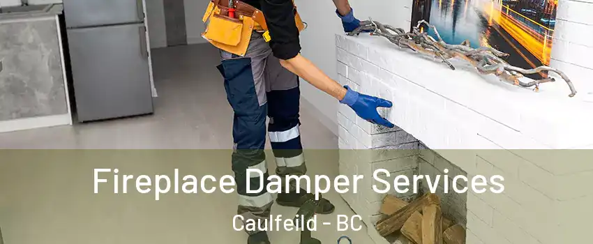 Fireplace Damper Services Caulfeild - BC