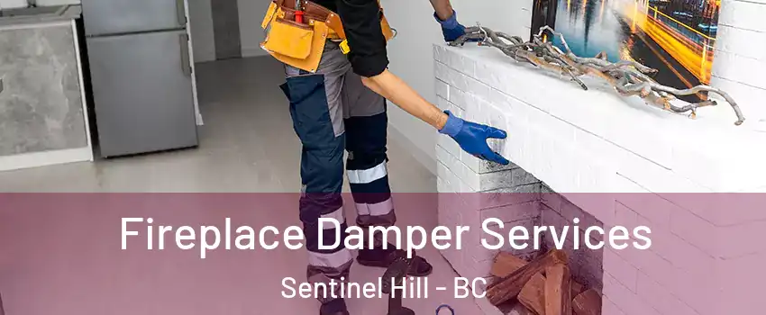 Fireplace Damper Services Sentinel Hill - BC