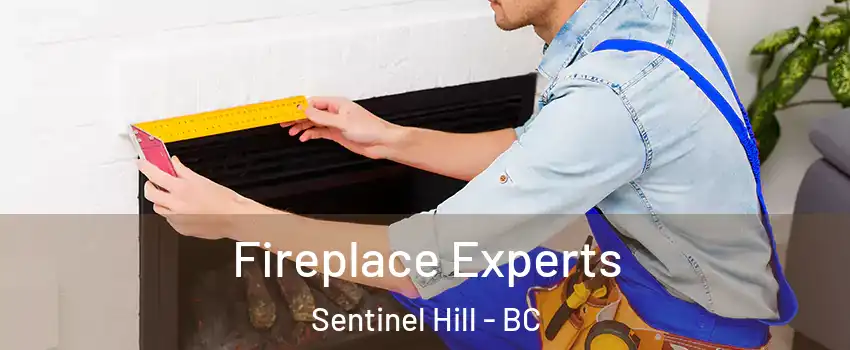  Fireplace Experts Sentinel Hill - BC