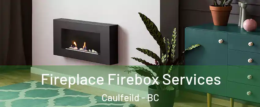  Fireplace Firebox Services Caulfeild - BC