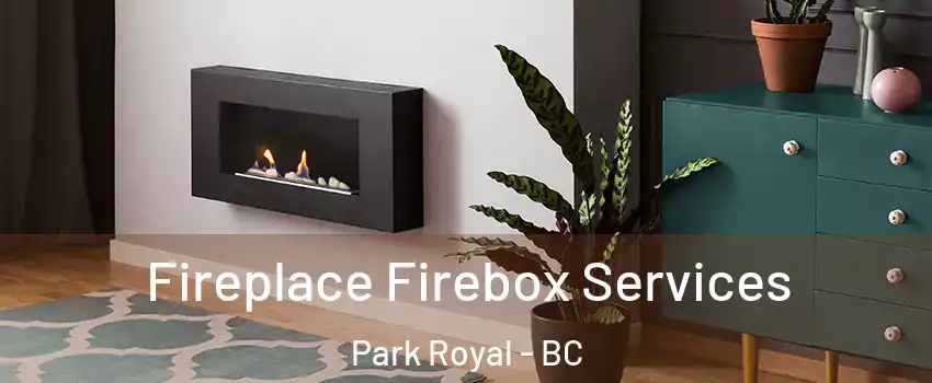  Fireplace Firebox Services Park Royal - BC