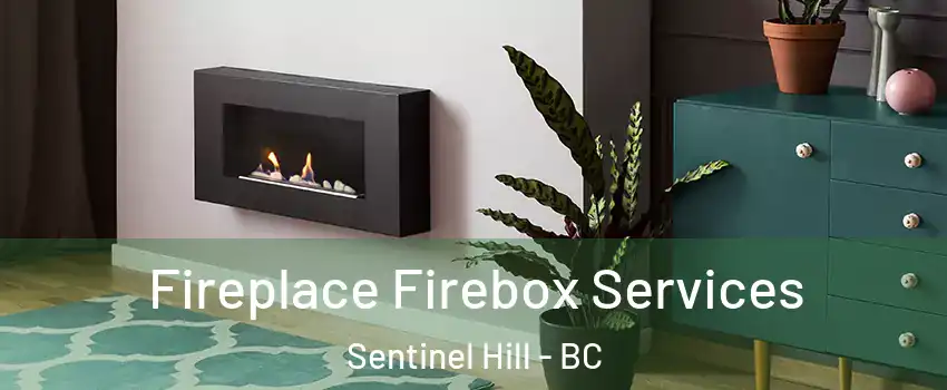  Fireplace Firebox Services Sentinel Hill - BC