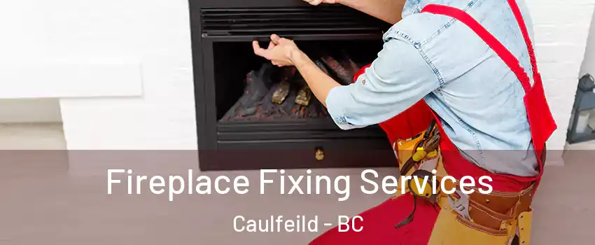  Fireplace Fixing Services Caulfeild - BC