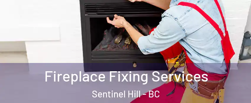  Fireplace Fixing Services Sentinel Hill - BC
