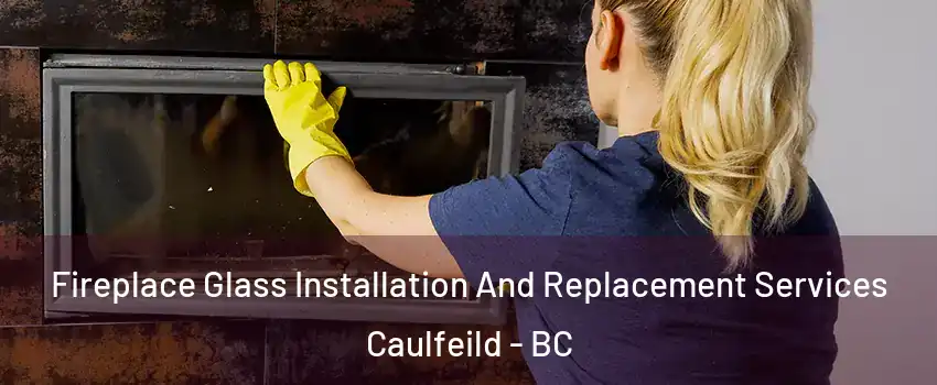  Fireplace Glass Installation And Replacement Services Caulfeild - BC