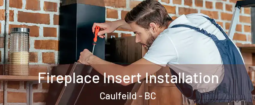  Fireplace Insert Installation Caulfeild - BC