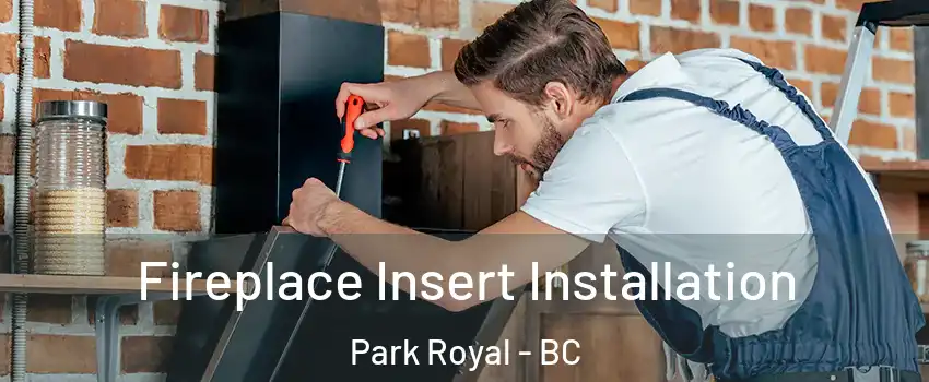  Fireplace Insert Installation Park Royal - BC