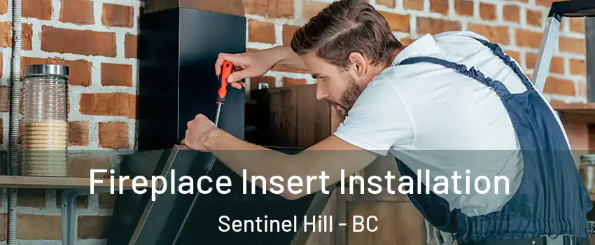  Fireplace Insert Installation Sentinel Hill - BC
