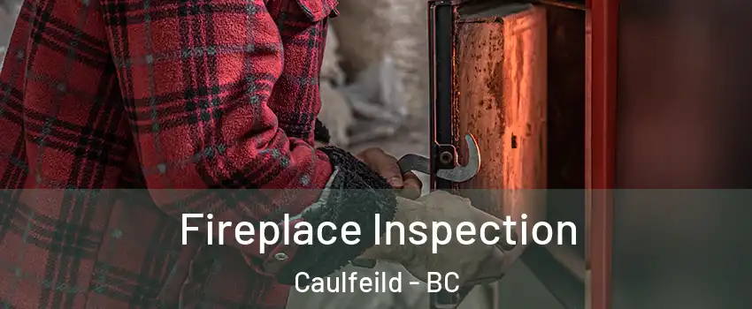  Fireplace Inspection Caulfeild - BC