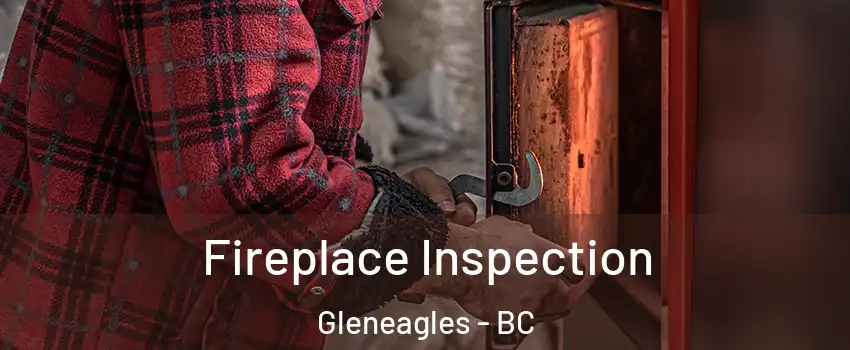  Fireplace Inspection Gleneagles - BC