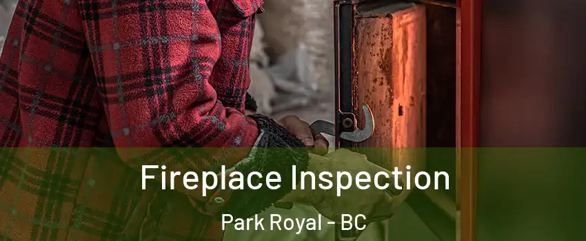  Fireplace Inspection Park Royal - BC
