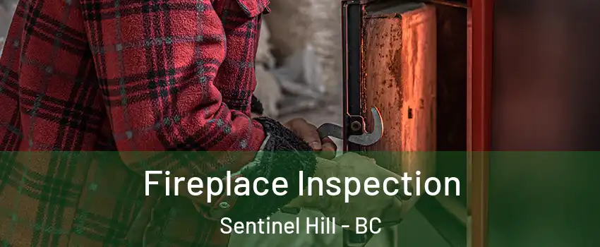  Fireplace Inspection Sentinel Hill - BC