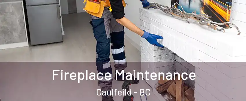  Fireplace Maintenance Caulfeild - BC