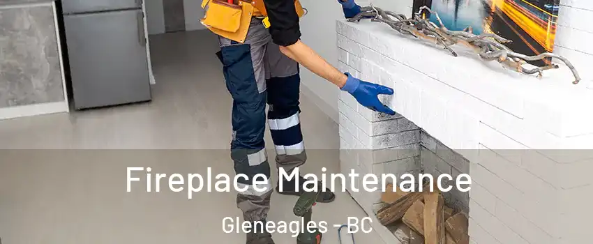  Fireplace Maintenance Gleneagles - BC