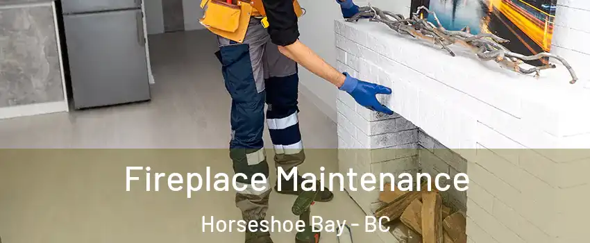  Fireplace Maintenance Horseshoe Bay - BC