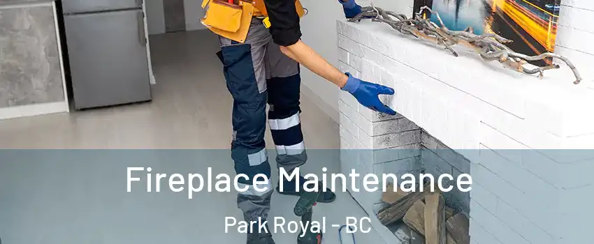  Fireplace Maintenance Park Royal - BC