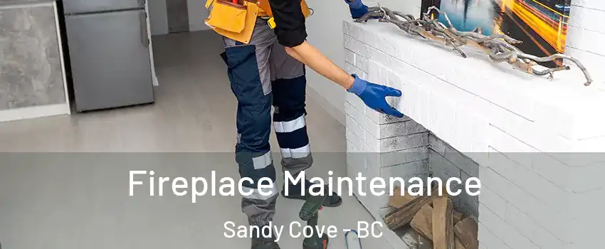  Fireplace Maintenance Sandy Cove - BC