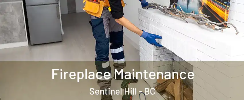  Fireplace Maintenance Sentinel Hill - BC