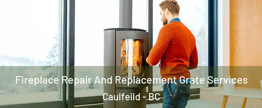  Fireplace Repair And Replacement Grate Services Caulfeild - BC