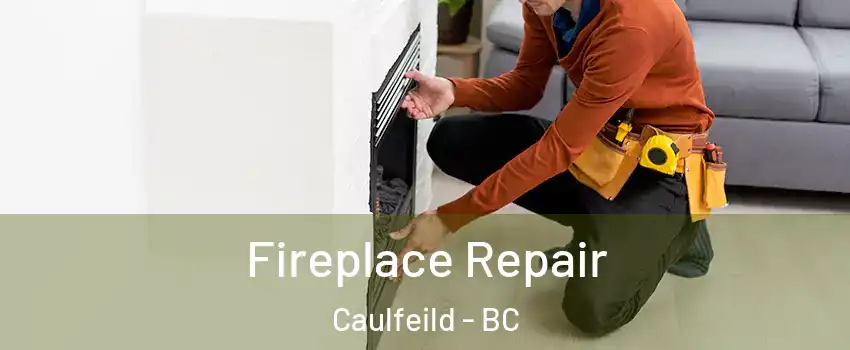  Fireplace Repair Caulfeild - BC