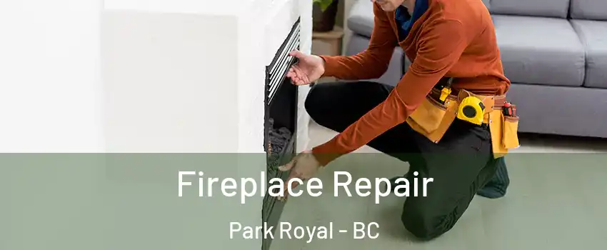  Fireplace Repair Park Royal - BC
