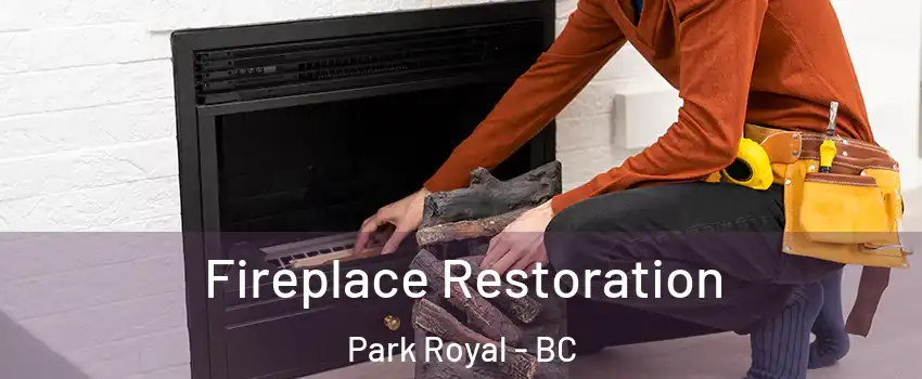  Fireplace Restoration Park Royal - BC