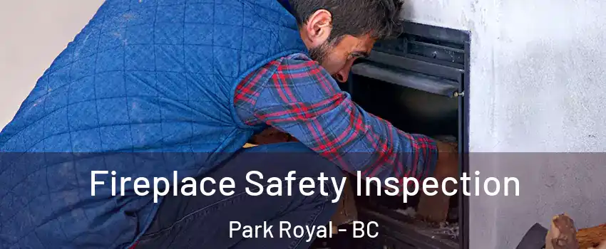 Fireplace Safety Inspection Park Royal - BC