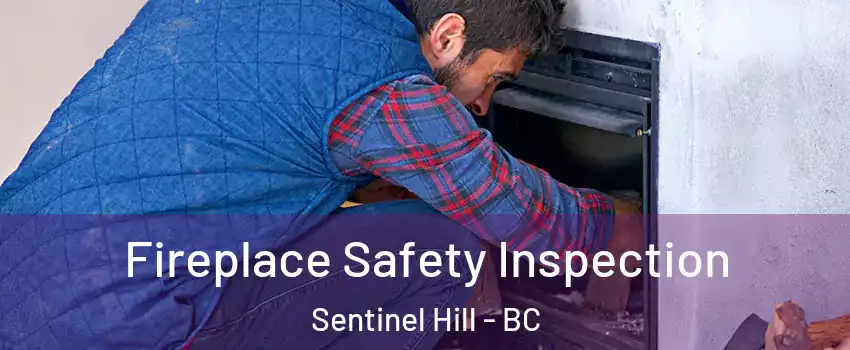 Fireplace Safety Inspection Sentinel Hill - BC