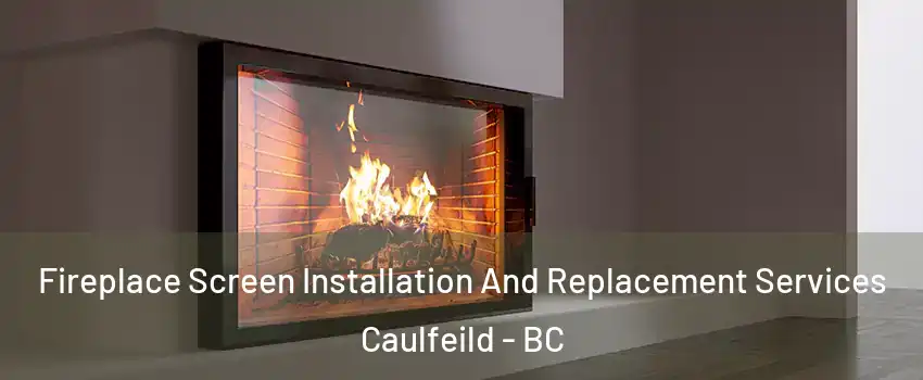 Fireplace Screen Installation And Replacement Services Caulfeild - BC