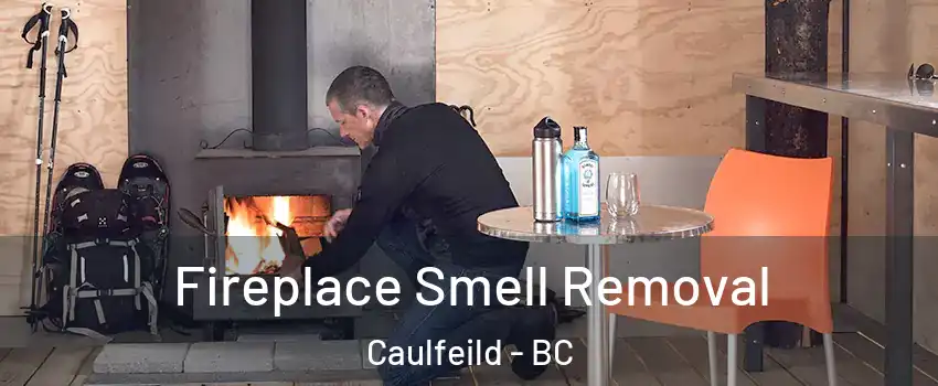  Fireplace Smell Removal Caulfeild - BC