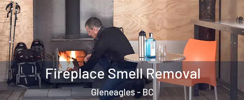  Fireplace Smell Removal Gleneagles - BC