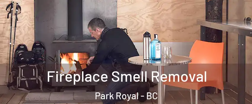  Fireplace Smell Removal Park Royal - BC