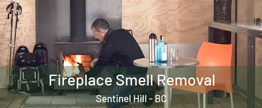  Fireplace Smell Removal Sentinel Hill - BC