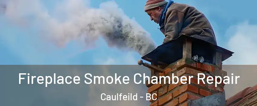  Fireplace Smoke Chamber Repair Caulfeild - BC