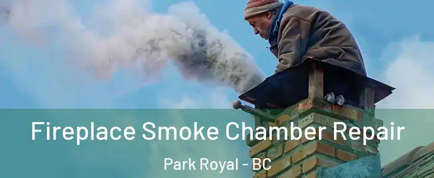  Fireplace Smoke Chamber Repair Park Royal - BC
