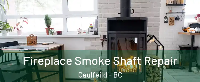  Fireplace Smoke Shaft Repair Caulfeild - BC