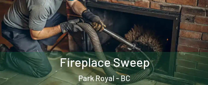  Fireplace Sweep Park Royal - BC