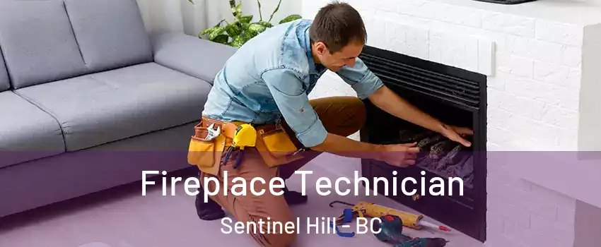 Fireplace Technician Sentinel Hill - BC