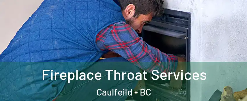  Fireplace Throat Services Caulfeild - BC