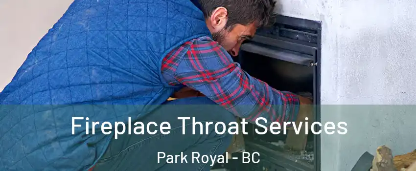  Fireplace Throat Services Park Royal - BC