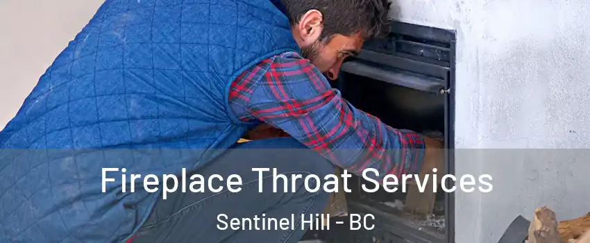  Fireplace Throat Services Sentinel Hill - BC