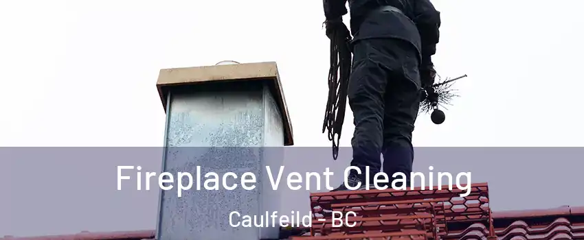  Fireplace Vent Cleaning Caulfeild - BC