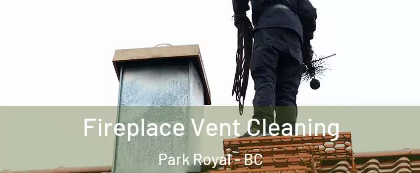  Fireplace Vent Cleaning Park Royal - BC
