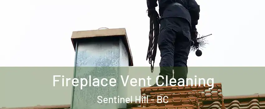  Fireplace Vent Cleaning Sentinel Hill - BC